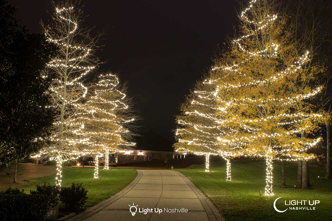 Front-yard trees wrapped trunk-to-branch in warm white Christmas lights along a walkway
